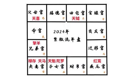 紫微斗数 2024|紫微斗数